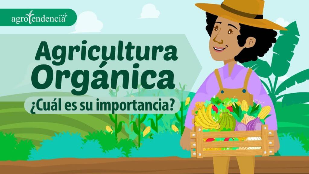 ¿Qué es la agricultura ecológica orgánica y biologica?