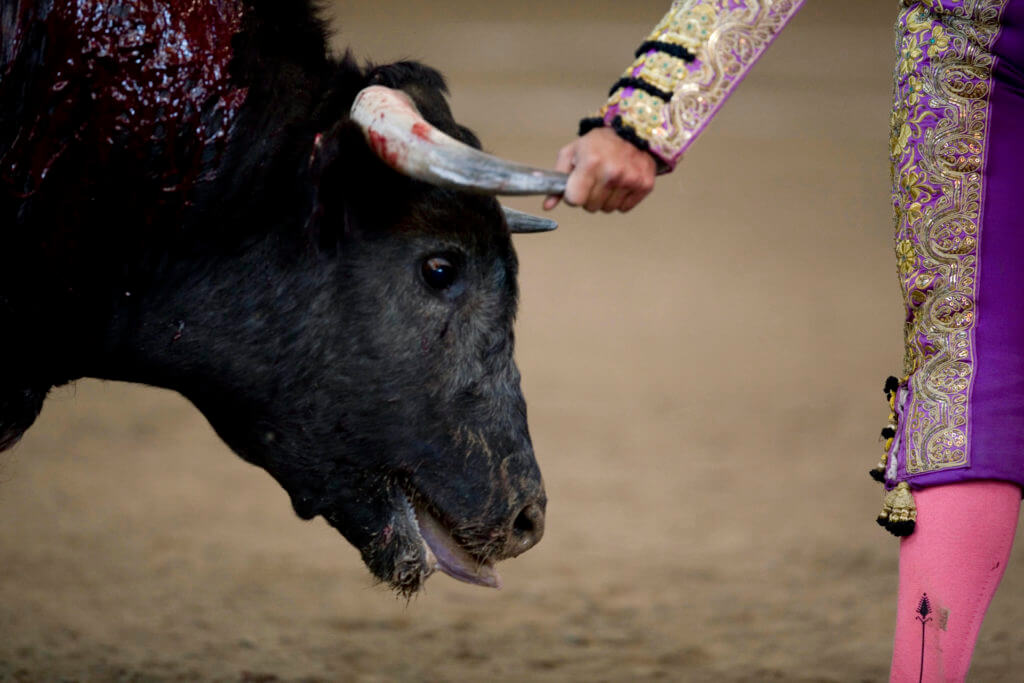 ¿Cuántas familias viven de los toros en España?