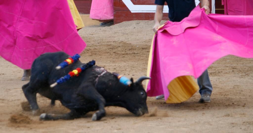 ¿Cuánto dinero da el gobierno a la Tauromaquia?