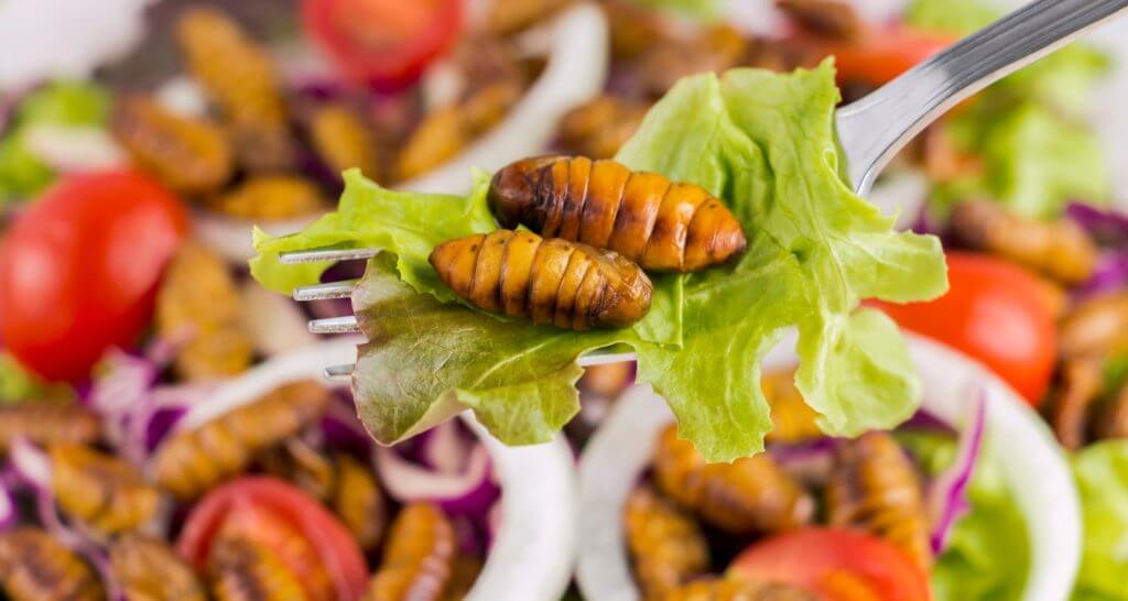 ¿Qué diferencia existe entre proteínas de origen cárnicos y de insectos comestibles?
