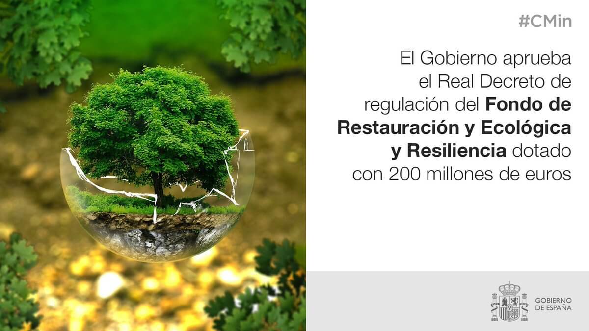 ¿Qué es la restauracion ecologica ejemplos?
