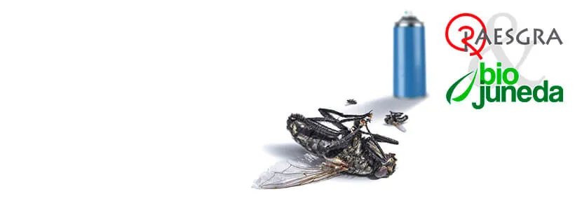 ¿Qué rentabilidad tiene una granja de insectos?