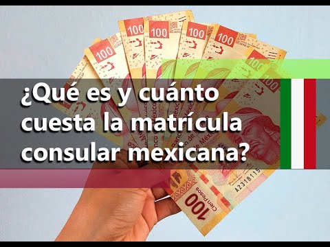 Precio matricula consular mexicana