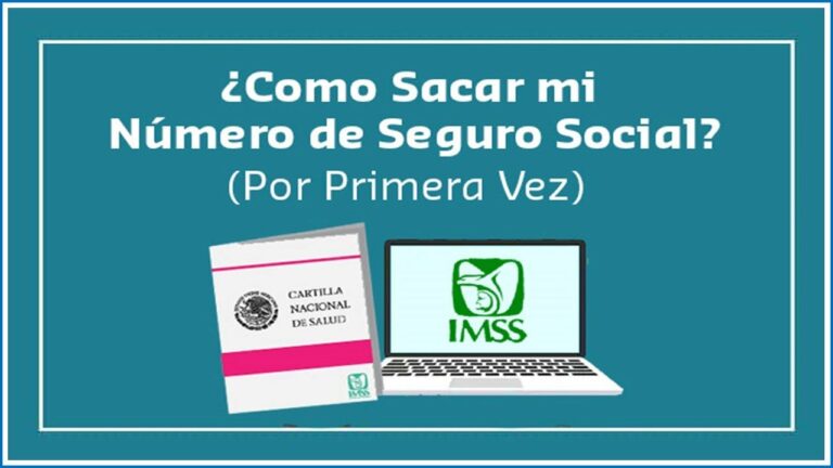 Sacar el número de seguro social por primera vez