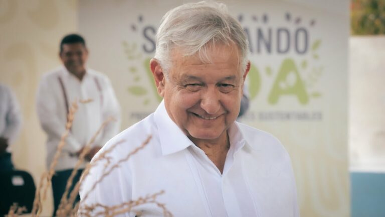 Convocatoria 2020: ¡Únete a Sembrando Vida en Chiapas para revivir la naturaleza!