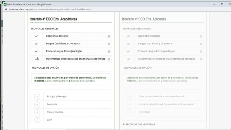 La matrícula en la ESO en Andalucía: optimización y efectividad