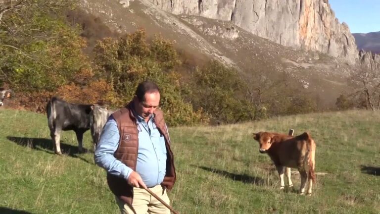 Los ganaderos y su hábitat en Cantabria: Un vistazo optimizado