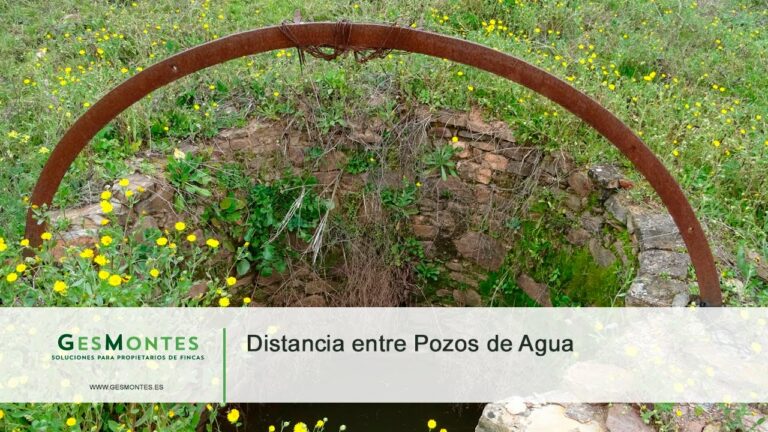 Requisitos optimizados para hacer un pozo de agua en Andalucía
