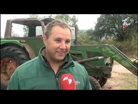Modernización del Sector Agrícola: Tractores por Jubilación
