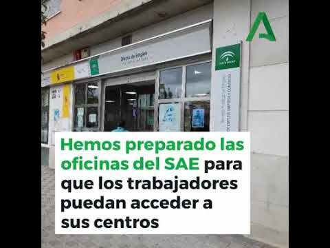 Teléfono para solicitar cita previa en la Junta de Andalucía