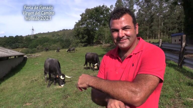 Las ferias anuales de ganado en Cantabria: Tradición y oportunidades