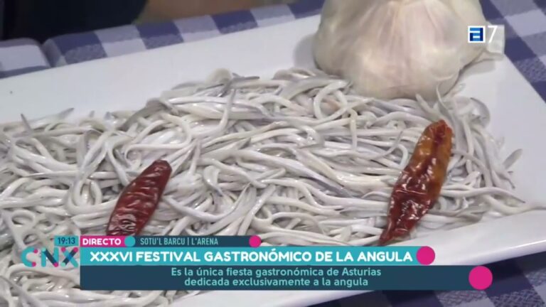 El Festival de la Angula: Una Delicia Gastronómica que Deleitará tus Sentidos